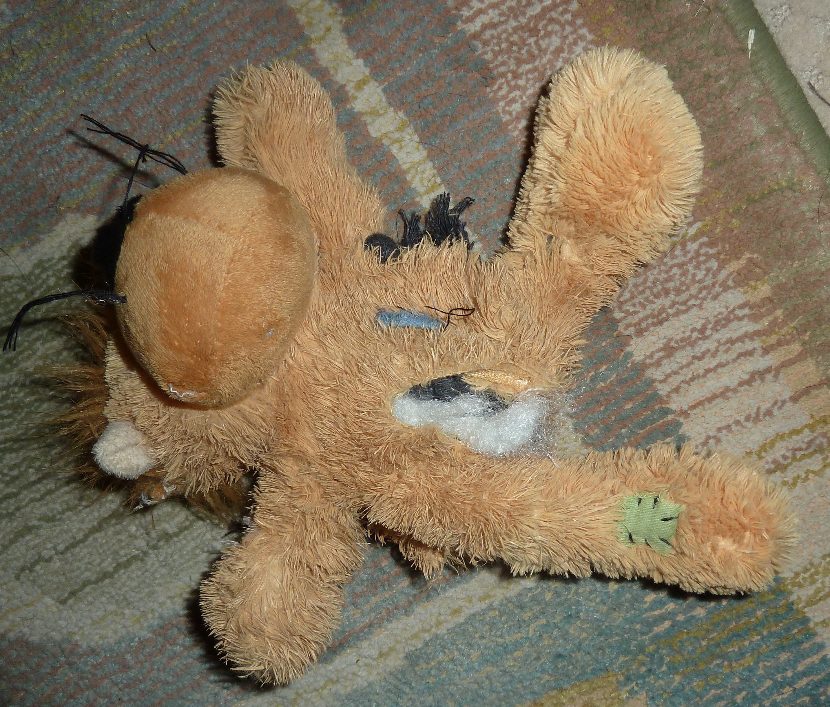 Dog chew toy with rope inside