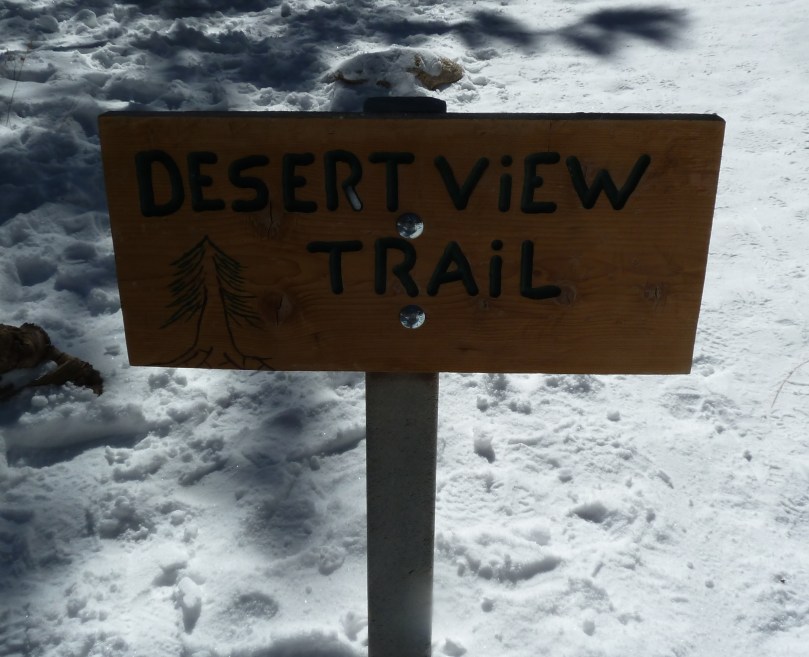 Desert View Trail