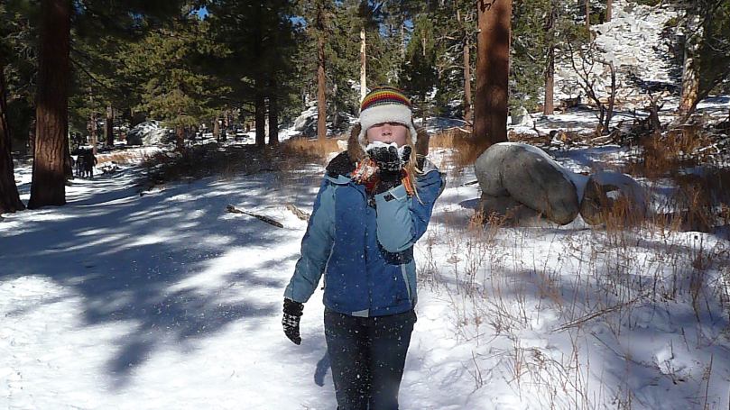 Top of Palm Springs Aerial Tramway