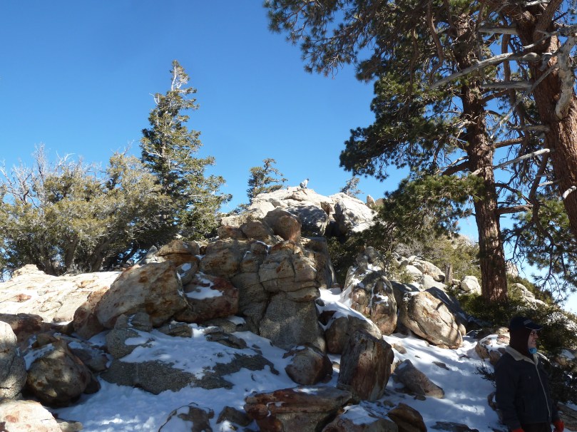 Palm Springs Tramway top