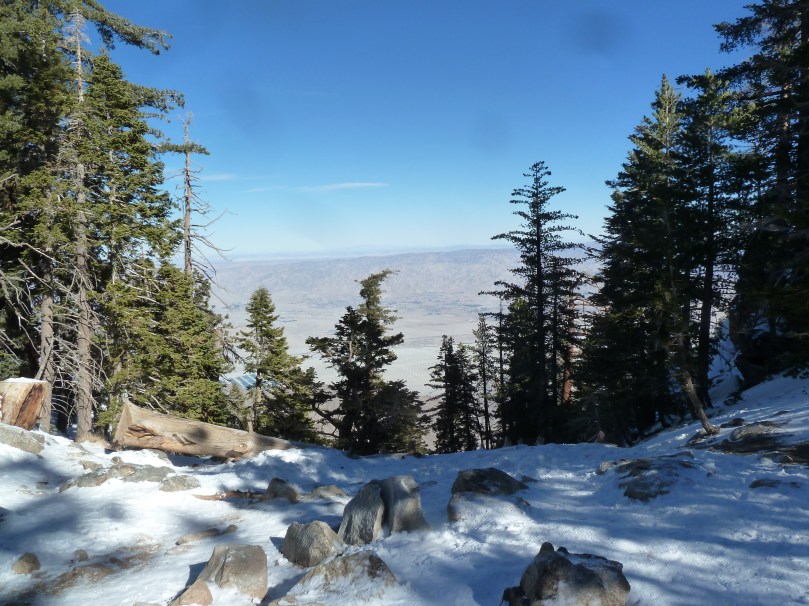 View of Palm Springs