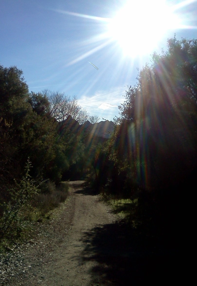 los-angeles-hiking-trail