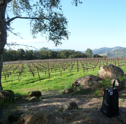 Chappellet-vineyards