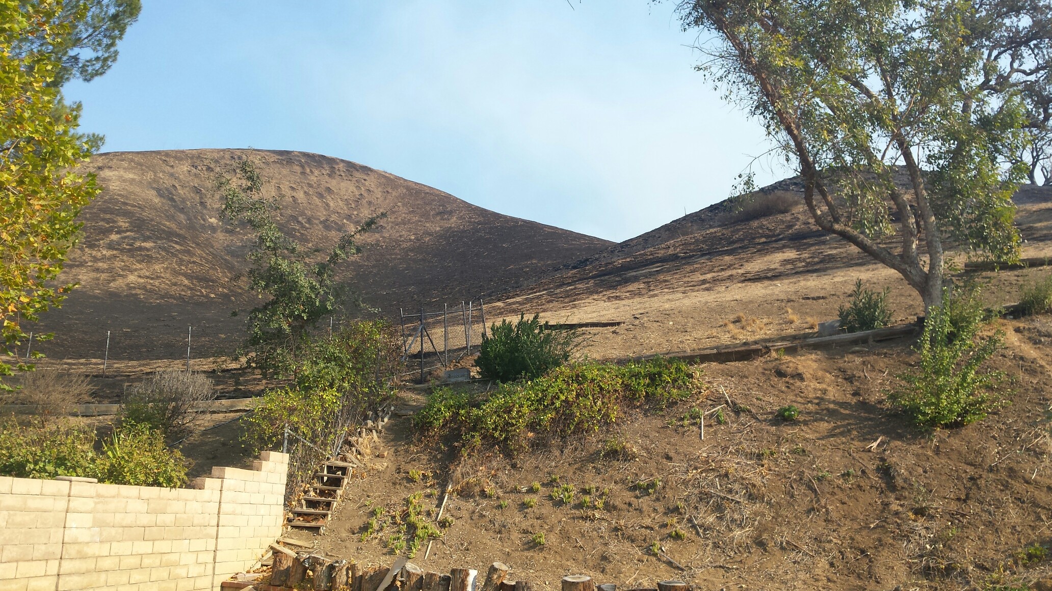 backyard burn marks after woolsey fire